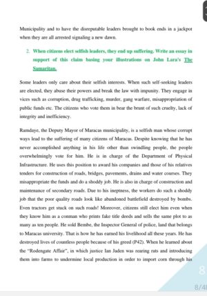 The Samaritan Essays and answers