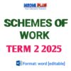 Grade 9 mathematics Term 2 2025 schemes of work