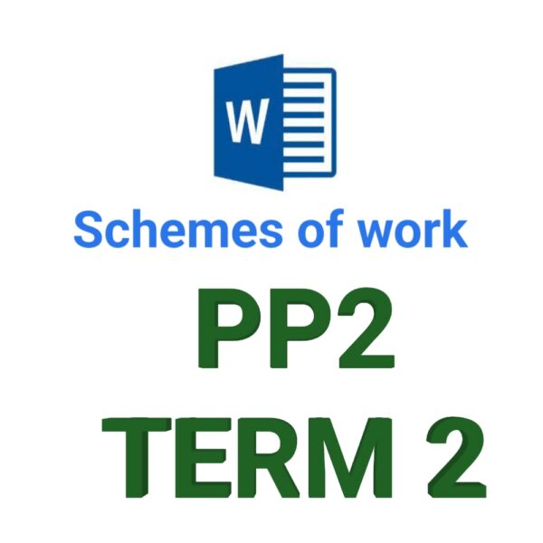 pp2 English activities schemes of work term 2 2025