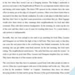 Silent song and other stories essays questions and answers