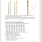 Creative arts and sports grade 9 rationalised notes
