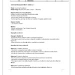 Grade 9 kiswahili lesson plan term 2 2025