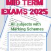 Grade 6 2025 Term 2 mid term exams