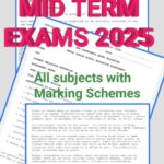 Grade 5 2025 Term 2 mid term exams
