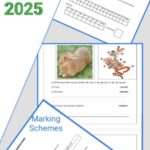 Bokake 2025 mock exams