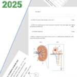 Mokasa 2025 mock exams