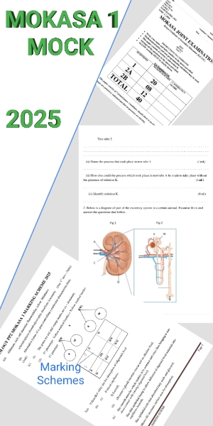 Mokasa 2025 mock exams