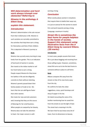 Silent song and other stories essays -set 2