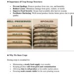 Agriculture and Nutrition Grade 9 notes term 2