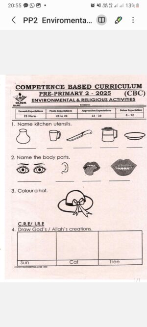pp2 term 2 2025 mid term exams