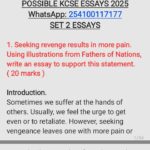 Fathers of Nations essay and answers-set 2