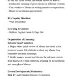 Grade 9 Rationalized English Lesson Plans Term 3