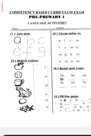 pp1 end term 2 2025 exams