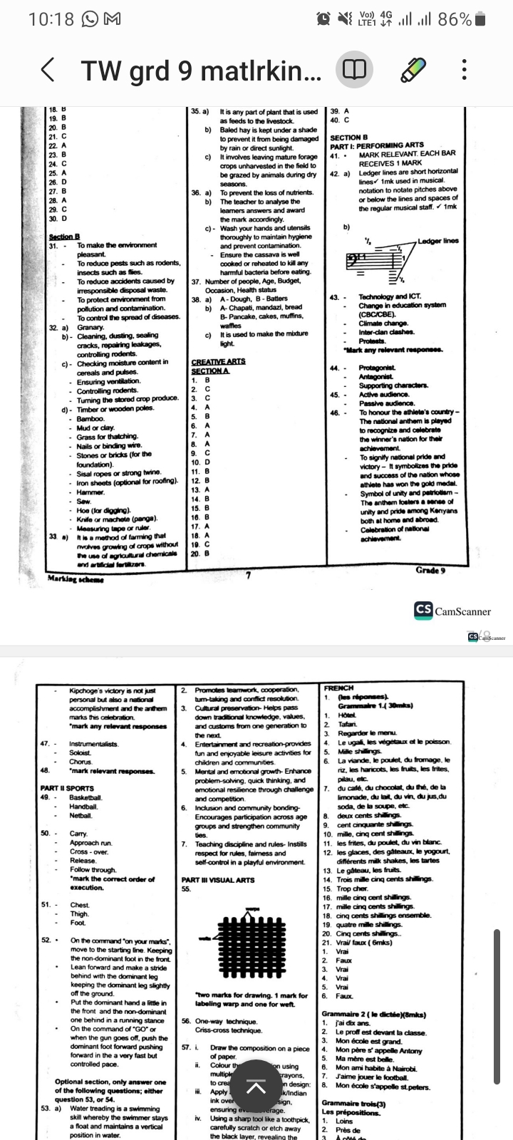 Targeter wings 006 grade 9 - Image 3