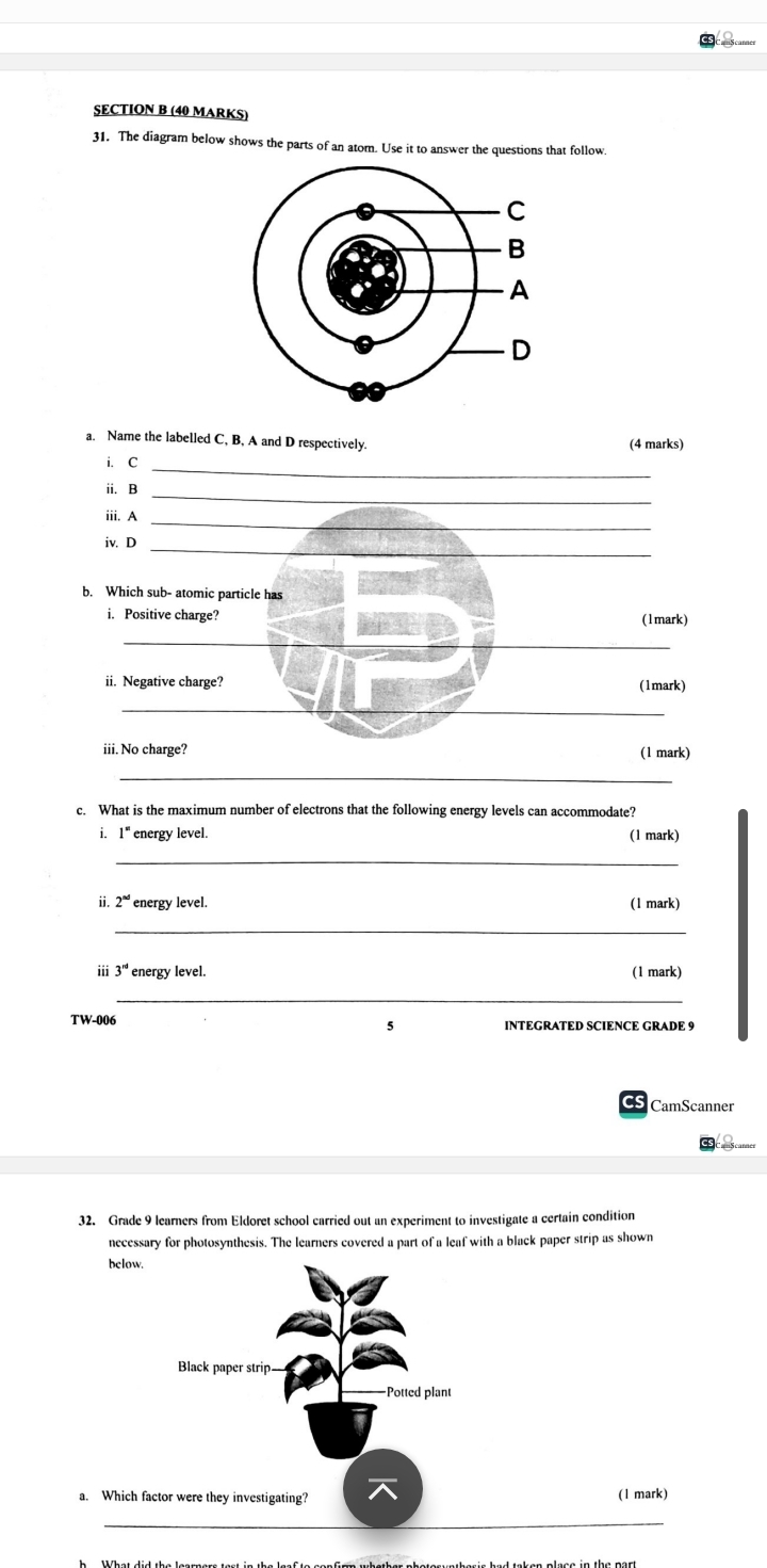 Targeter wings 006 grade 9 - Image 2