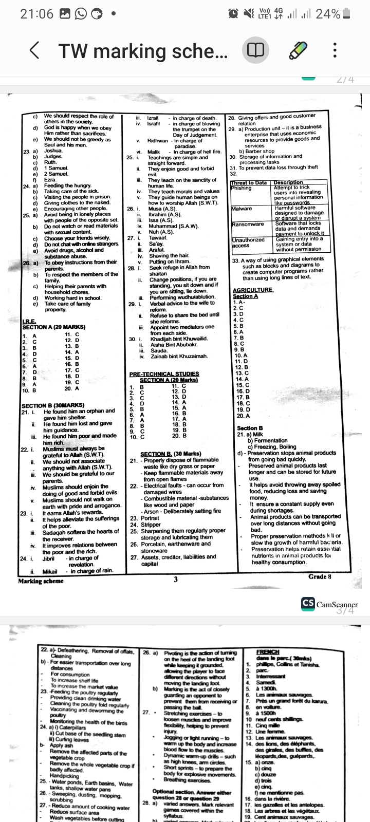 Targeter wings 006 Grade 8 - Image 4