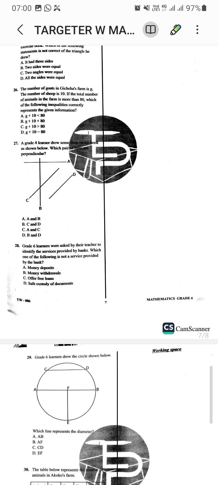 Targeter wings 006 Grade 6 - Image 3