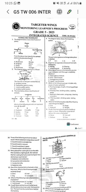 Targeter wings 006 Grade 5