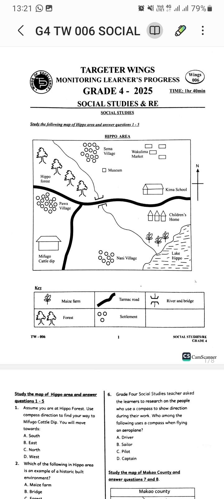 Targeter wings 006 Grade 4 - Image 4