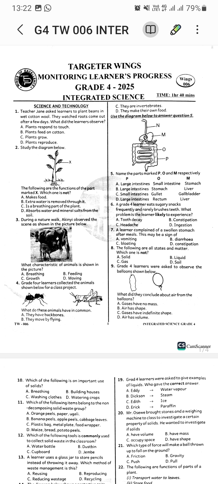 Targeter wings 006 Grade 4 - Image 3