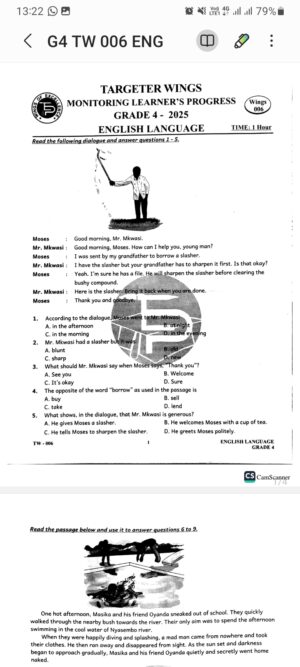 Targeter wings 006 Grade 4