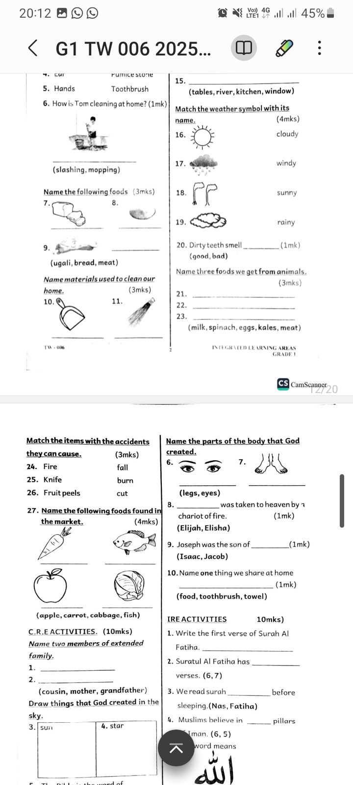 Targeter wings 006 Grade 1 - Image 3
