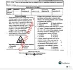 Signal 006 Grade 9 exams 2025