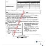 Signal 006 grade 7 2025