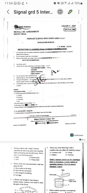 Signal 006 grade 5 2025