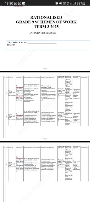 Integrated Science 9 term 3 Schemes 2025
