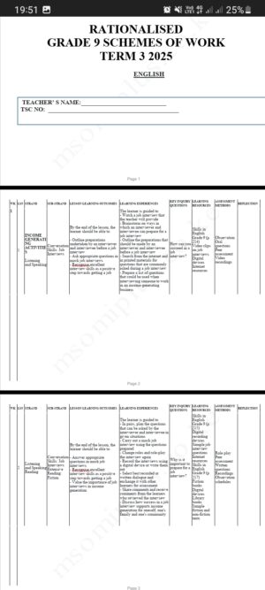 English Grade 9 term 3 Schemes 2025