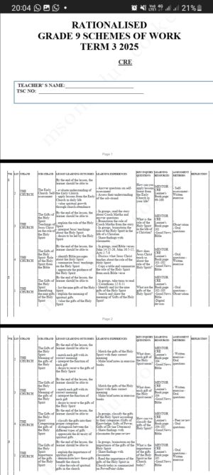 cre Grade 9 term 3 Schemes 2025