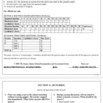 Grade 8 opener exams Term 3 2025
