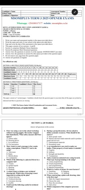 Grade 8 opener exams Term 3 2025