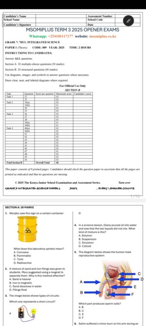 Grade 7 opener exams Term 3 2025