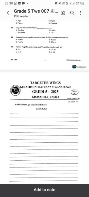 Targeter wings 007 2025 grade 5