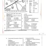 Stega print 007 Grade 9