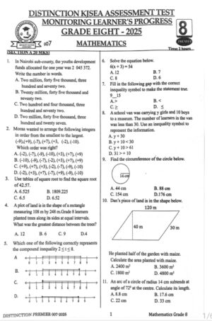Distinction 007 grade 8 Maths