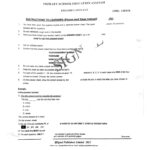 Signal 007 Grade 6 2025