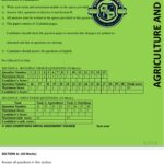 Prediction series kjsea grade 9 2025
