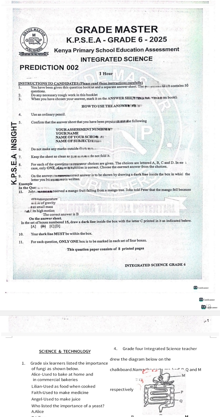 Grade master grade 6 prediction 002