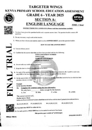 TARGETER WINGS KPSEA FINAL TRIAL 2025