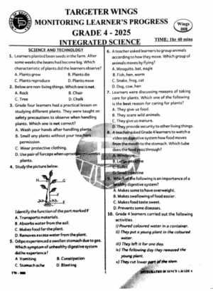 Targeter Wings 008 Grade 4 2025