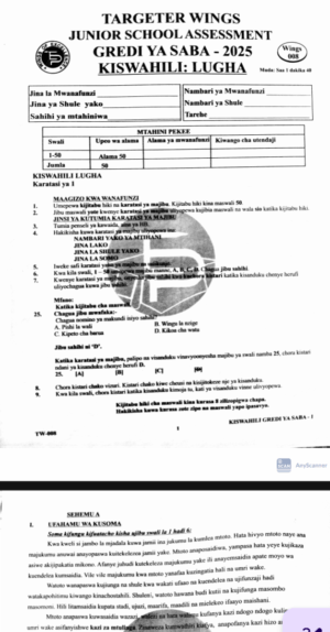 Targeter Wings 008 Grade 7 2025