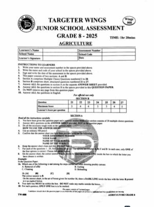 Targeter Wings 008 Grade 8 2025