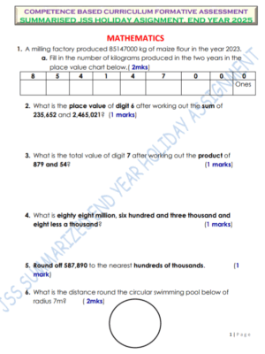 Grade 7 Holiday Assignment booklet term 3 2025