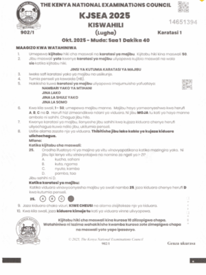 Kjsea 2025 Assessment Exam