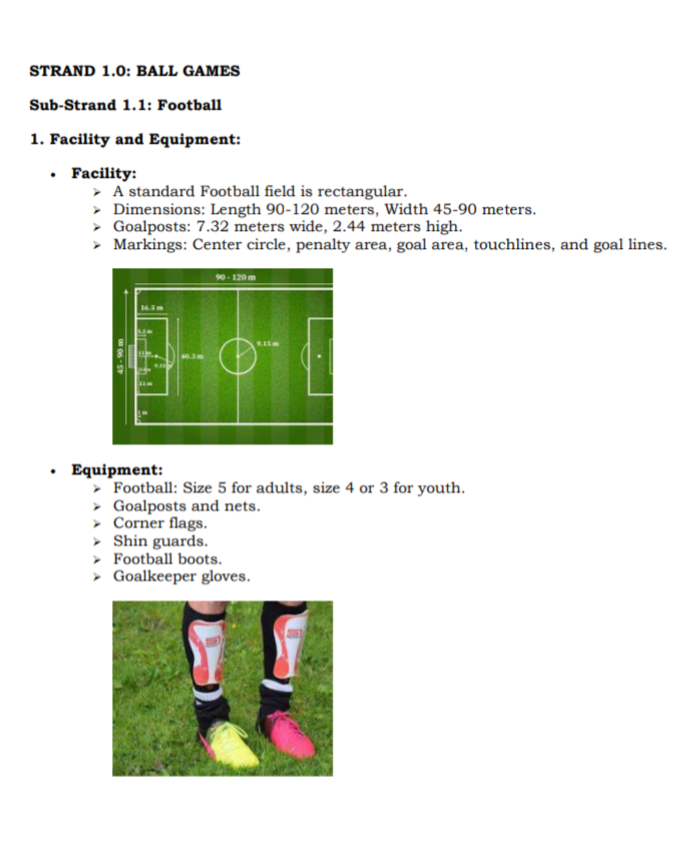 Grade 10 Physical Education Notes Term 1, 2 and 3