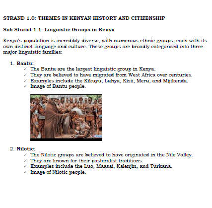 Grade 10 History and Citizenship notes Term 1,2 and 3