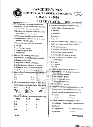 Targeter wings 001 2026 grade 5